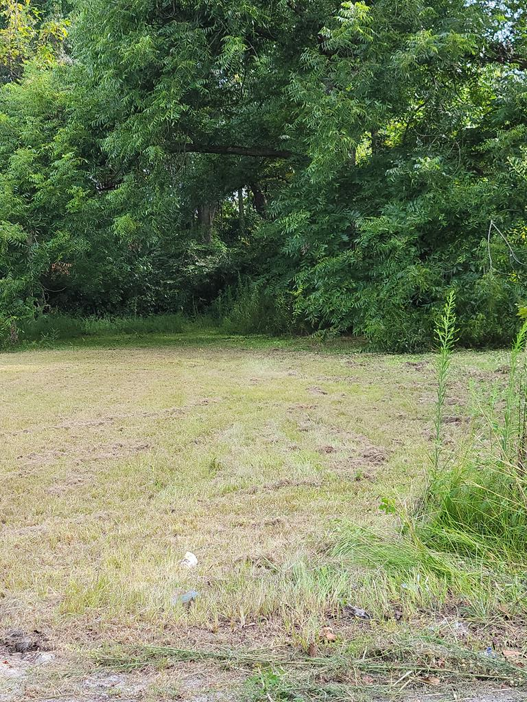Property Photo:  Warley St  SC 29150 