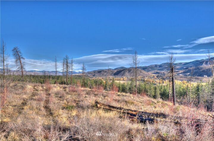 Property Photo:  46 Rising Eagle Road  WA 98856 