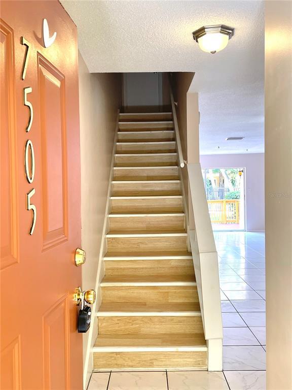 Property Photo:  7505 Gallineta Court 7505  FL 33615 