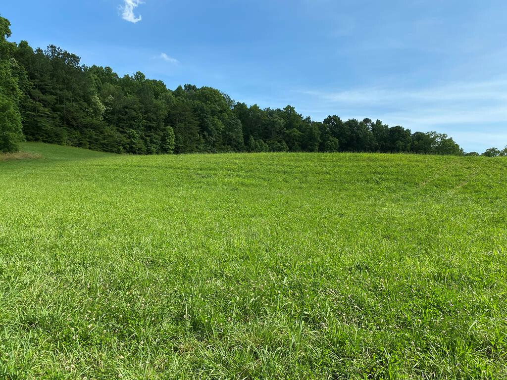 Property Photo:  150 County Road 89  TN 37303 