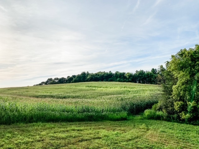 Property Photo:  2513 Horton Road  IA 50677 