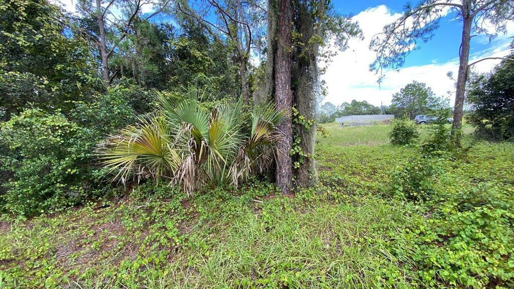 Property Photo:  349 Bream Circle  FL 34759 