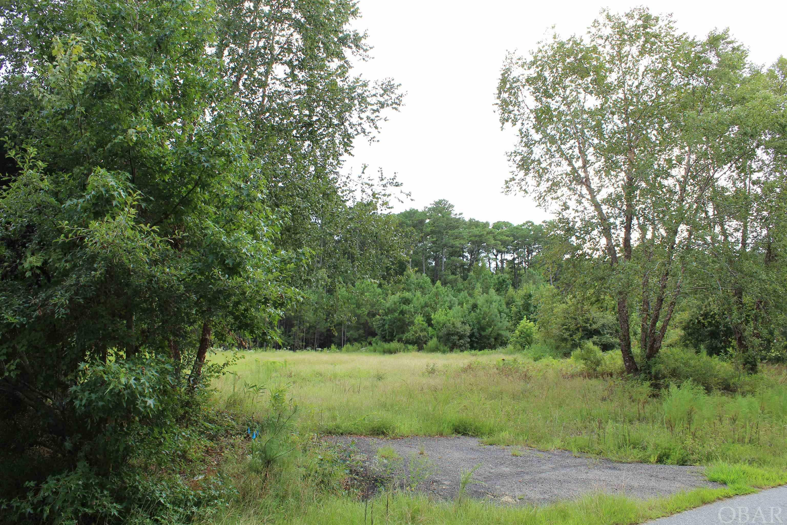 Property Photo:  112 Freedom Avenue Lot 7  NC 27966 