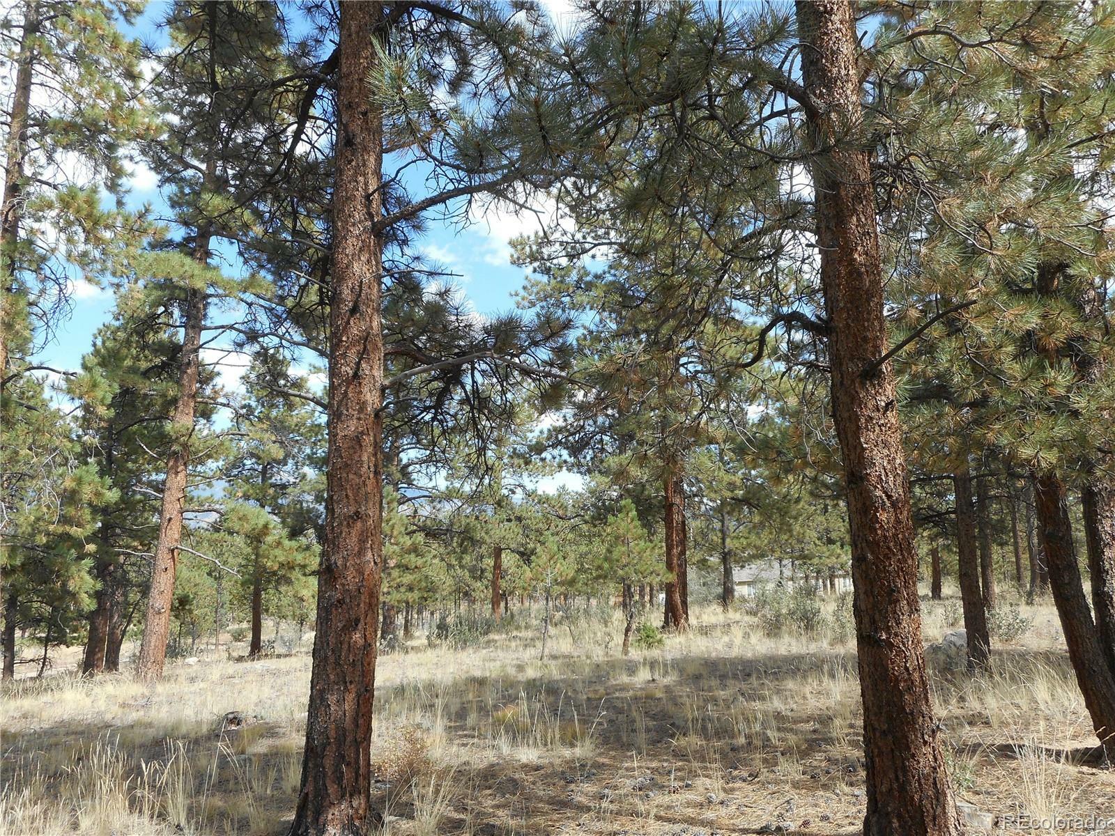 Property Photo:  30634 Timberline N  CO 81211 
