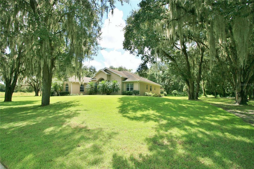 605 Graceful Oaks Court  Plant City FL 33563 photo