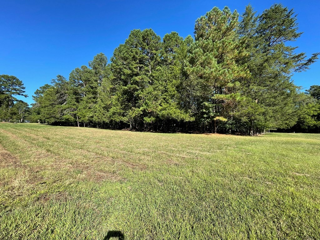 Property Photo:  Lot C Carol Avenue  VA 23927 