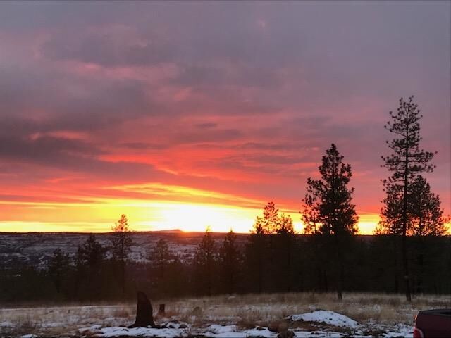 Property Photo:  5596 Rocky Top Way  WA 99006 