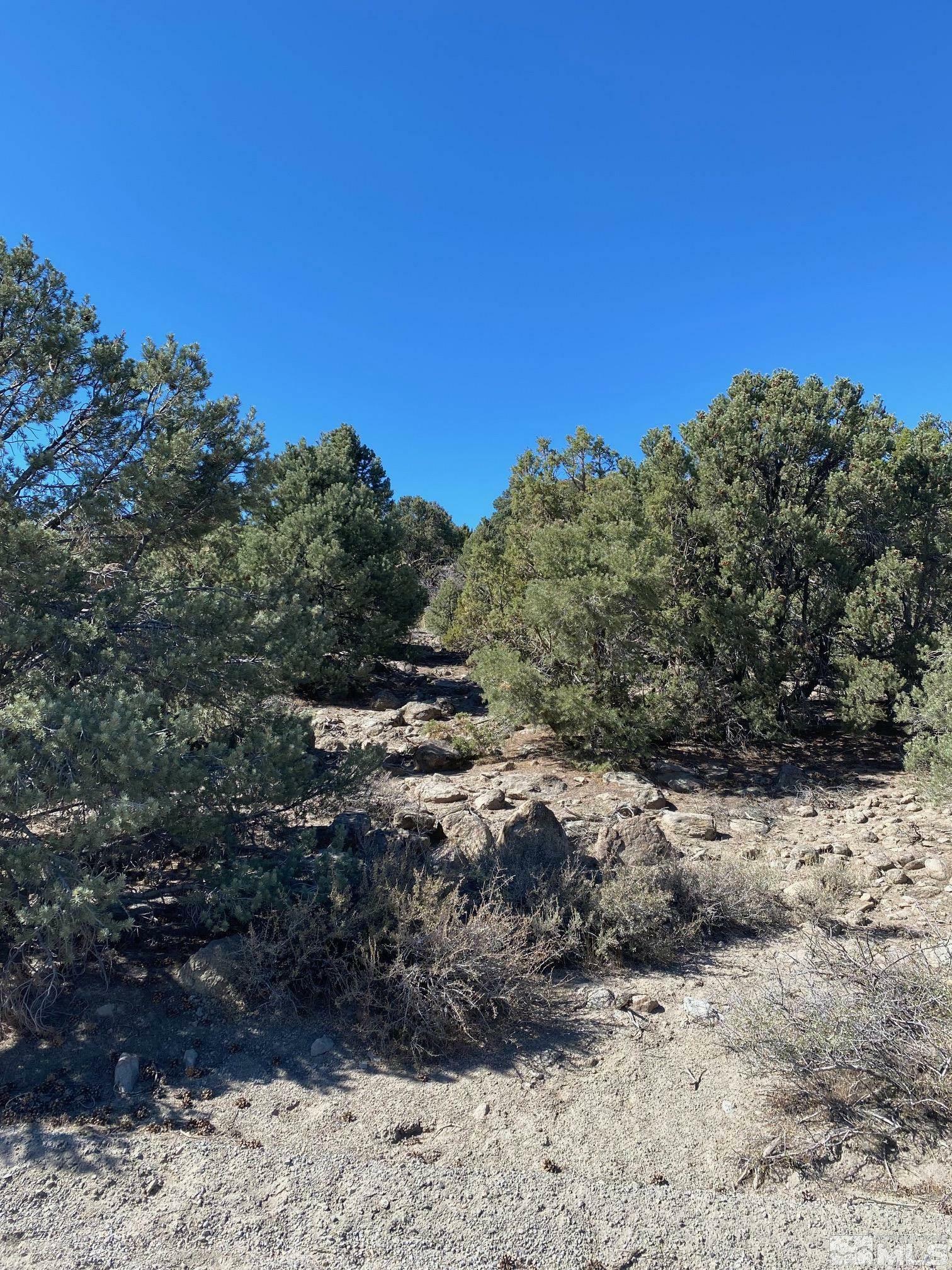 Property Photo:  22030 Clemens Rd  NV 89521 