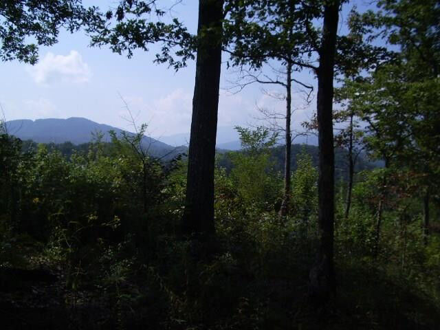 Property Photo: Messer Branch Road TN 37753