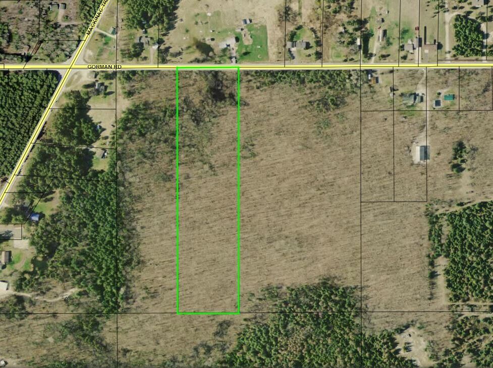Property Photo: 000 Gorman Rd MI 49781