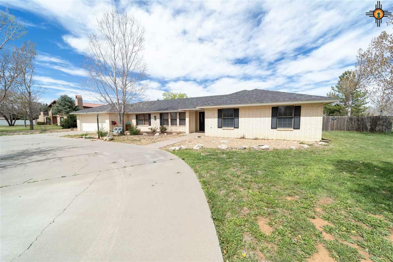 Property Photo: 208 Remuda NM 88101