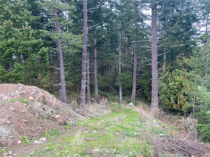 Property Photo:  541 Kelsando Circle  WA 98250 