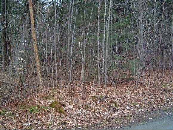 Property Photo:  Black Woods Rd  VT 05457 