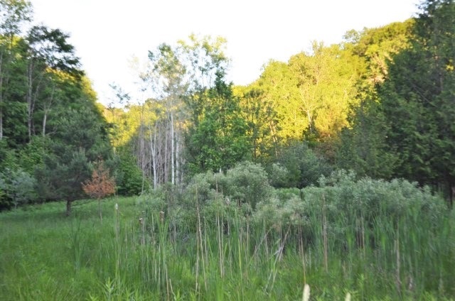Property Photo: Tbd Rogers MI 49727
