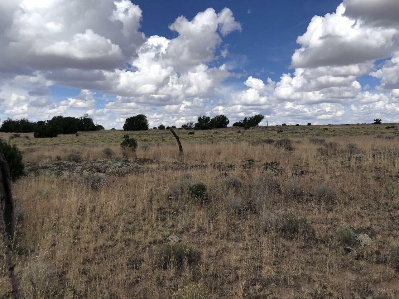 Property Photo:  Off Hwy 36 Fence Lake Lot 61  NM 87315 