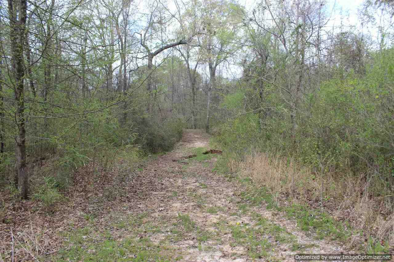 Property Photo:  2914 Highway 3 Highway  MS 39162 