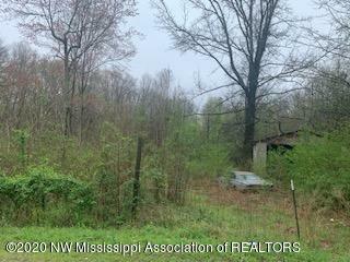 Property Photo: 101 McKinsey Lane MS 38661