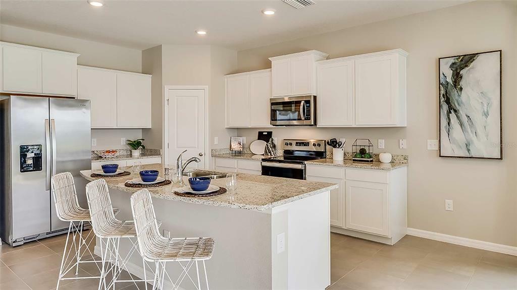 Property Photo: 17007 Avon Dive Lane FL 33598