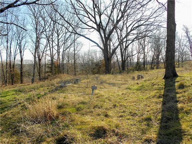 Property Photo:  1065 Old Mail Route Road  MO 65745 