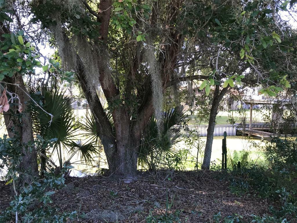 Property Photo:  000 Treasure Island Road  FL 34748 