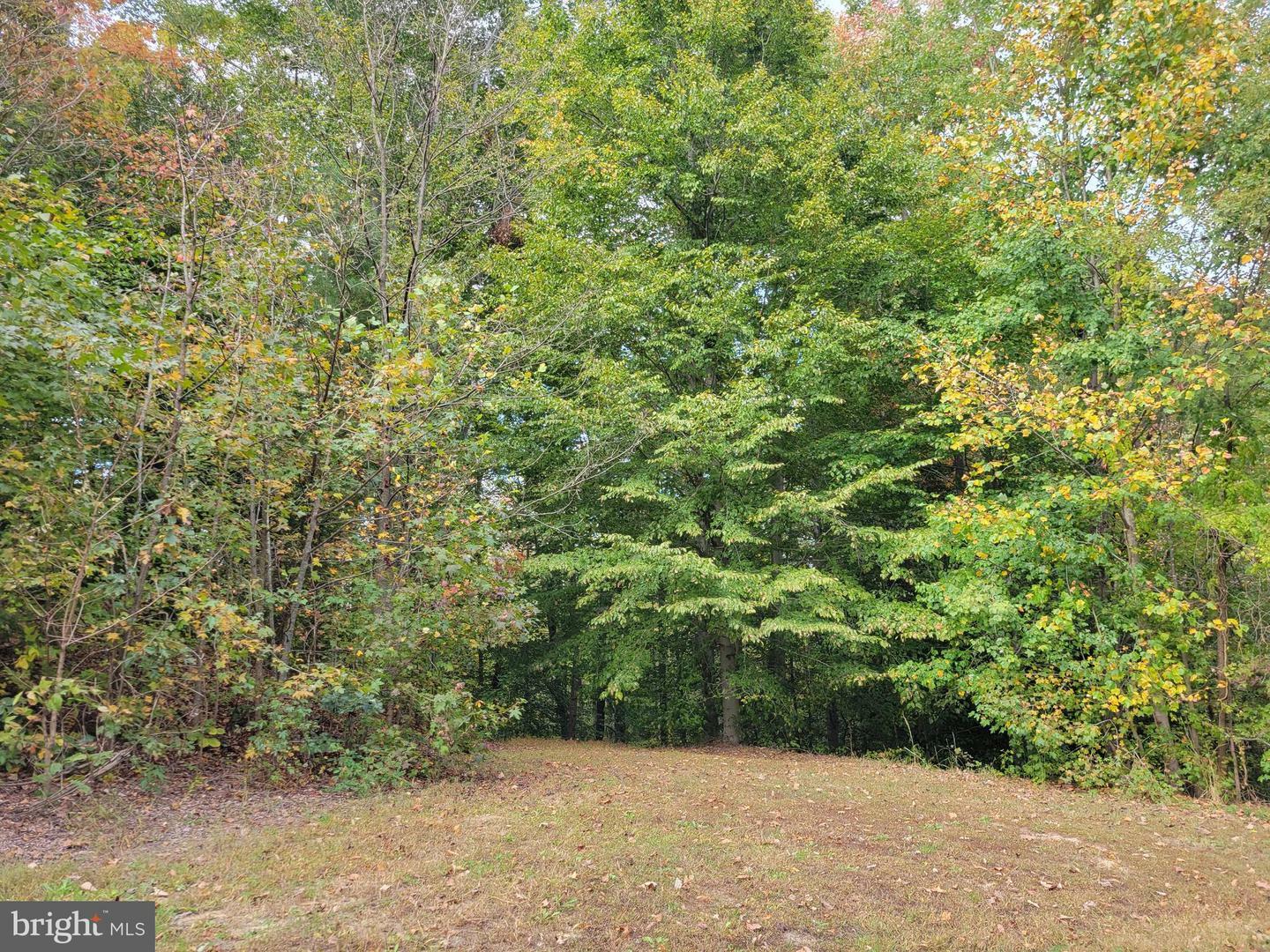 Property Photo:  Lot 15 Redbud Lane  VA 22485 