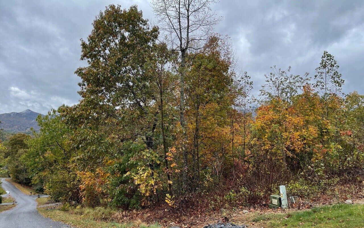 Property Photo:  0 Gage Drive Lot 6  GA 30546 