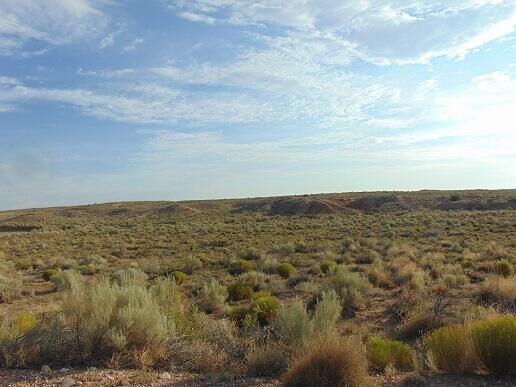 Property Photo: