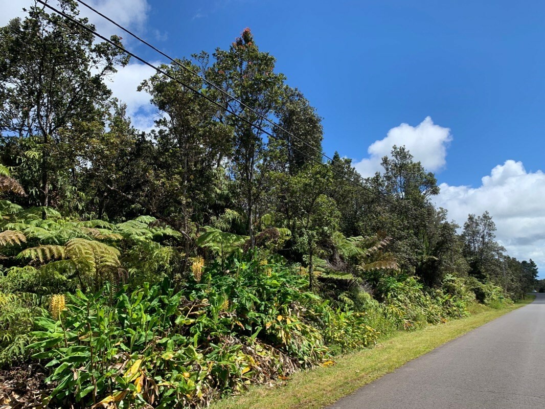 Property Photo:  Nahelenani St  HI 96785 
