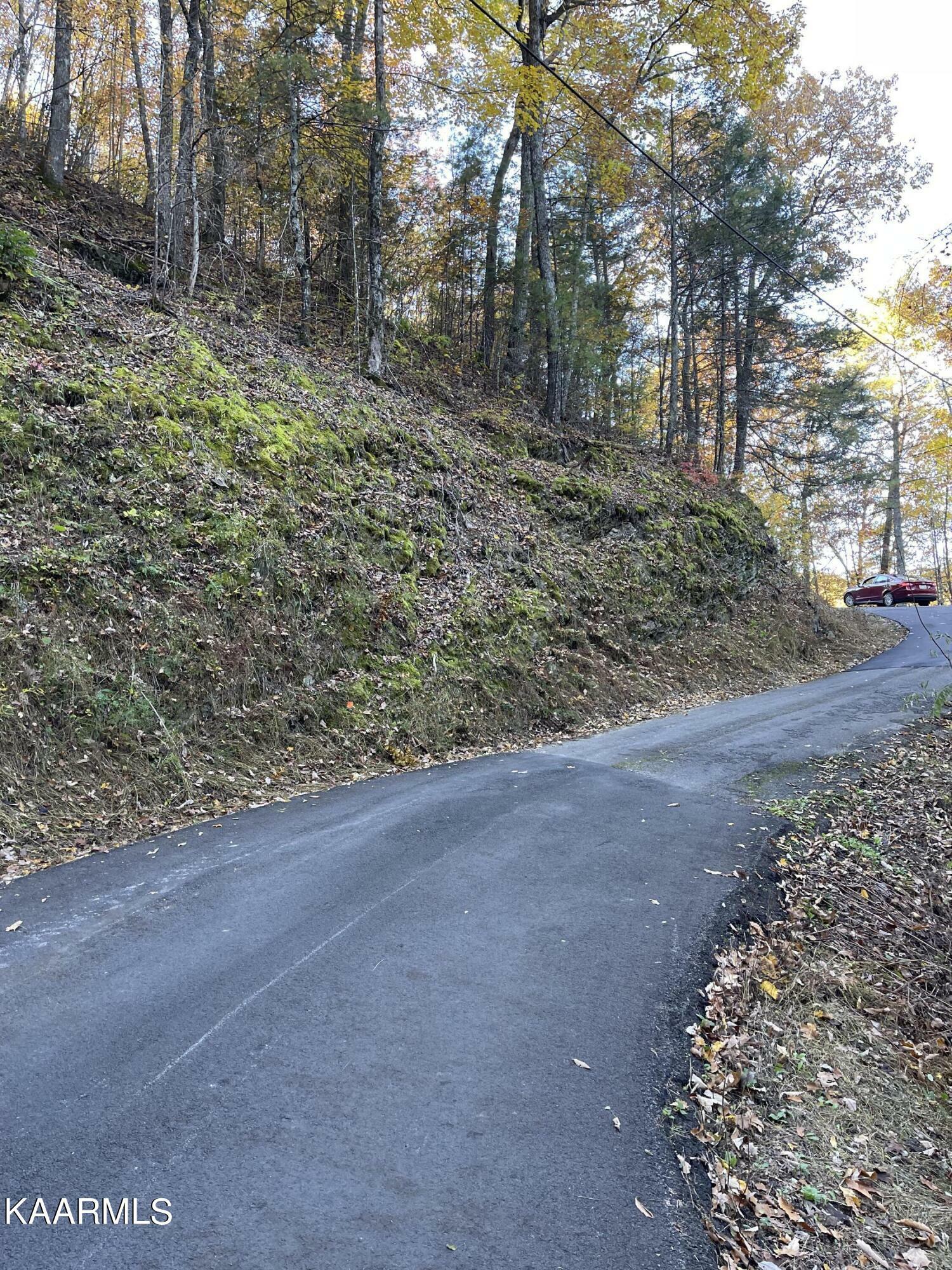 Property Photo: Headrick Lead Lot 22 TN 37876