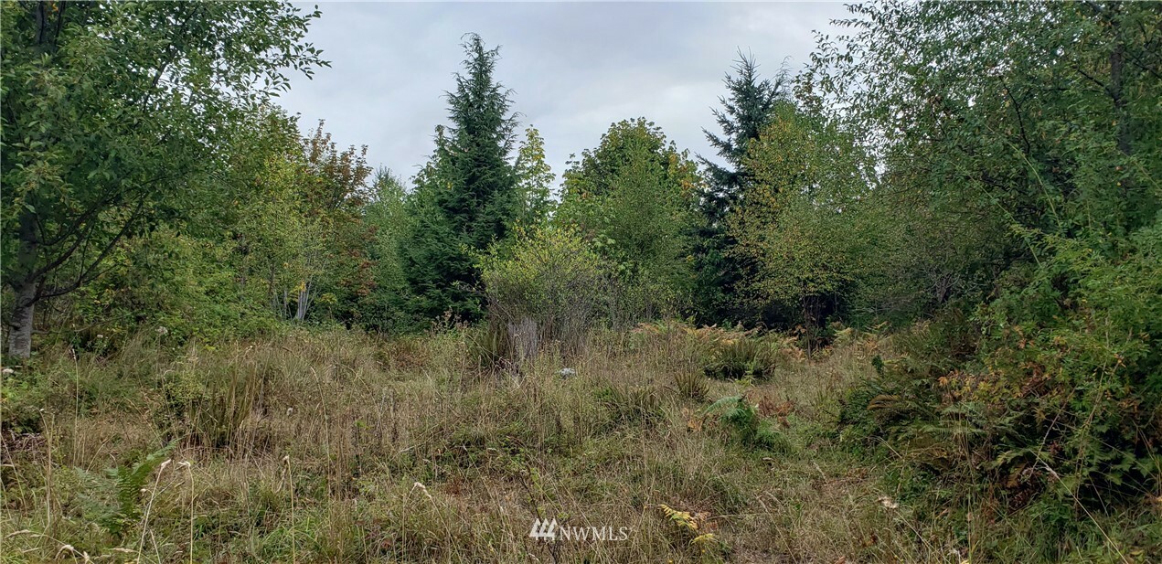 Property Photo:  233 Xx 197th Street E  WA 98360 