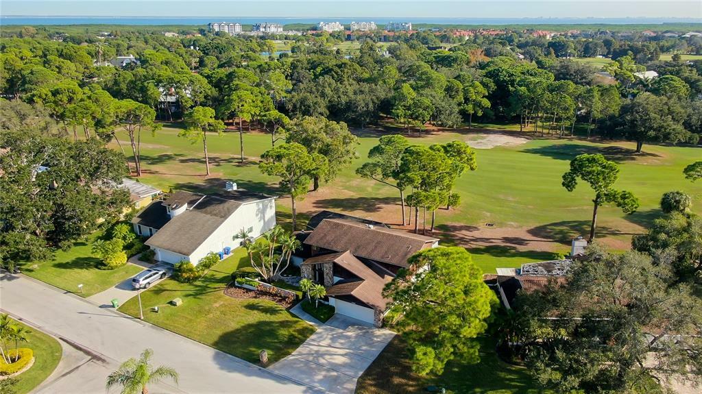 Property Photo:  13887 Whisperwood Drive  FL 33762 