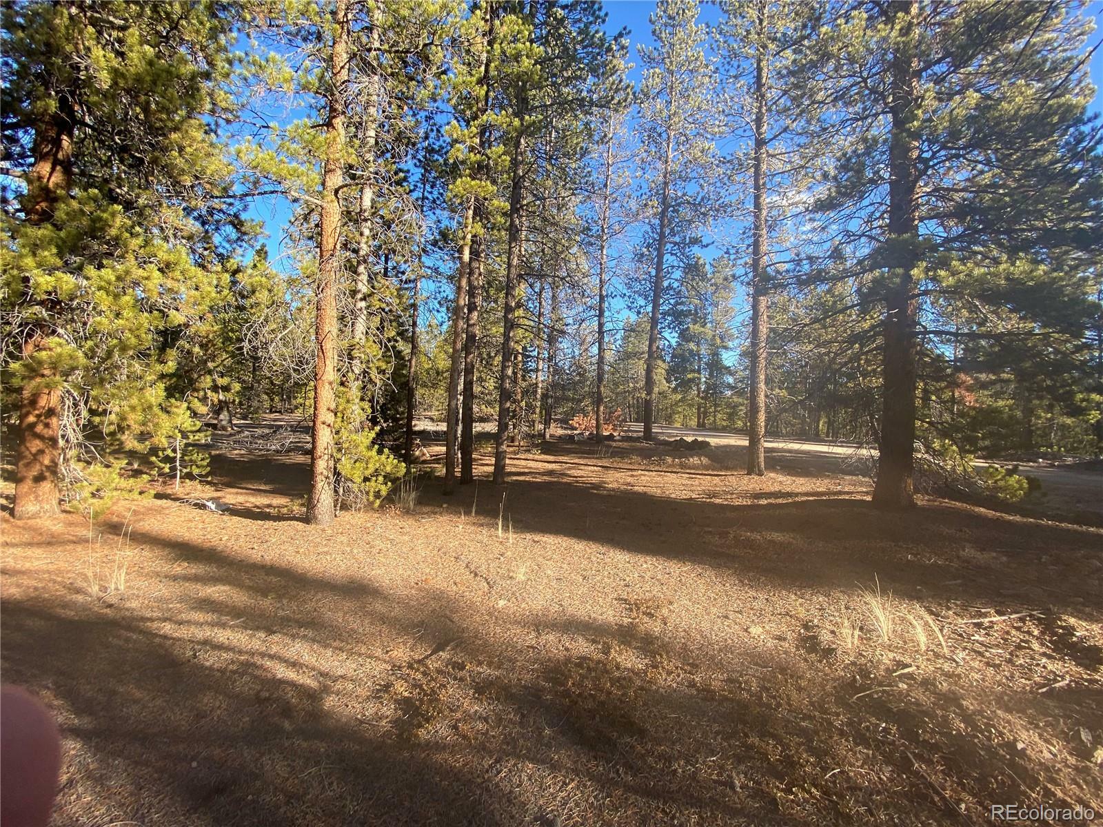 Property Photo:  217 Aspen Drive  CO 80461 