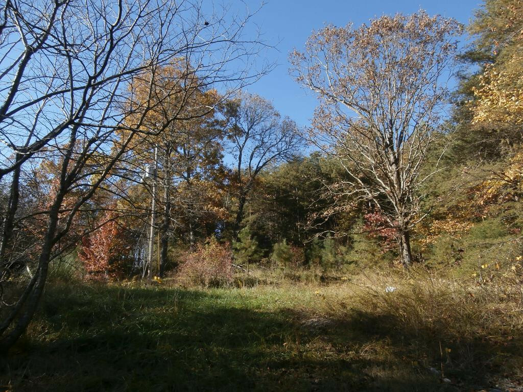 Property Photo:  6591 Wolf Creek Road  TN 37381 