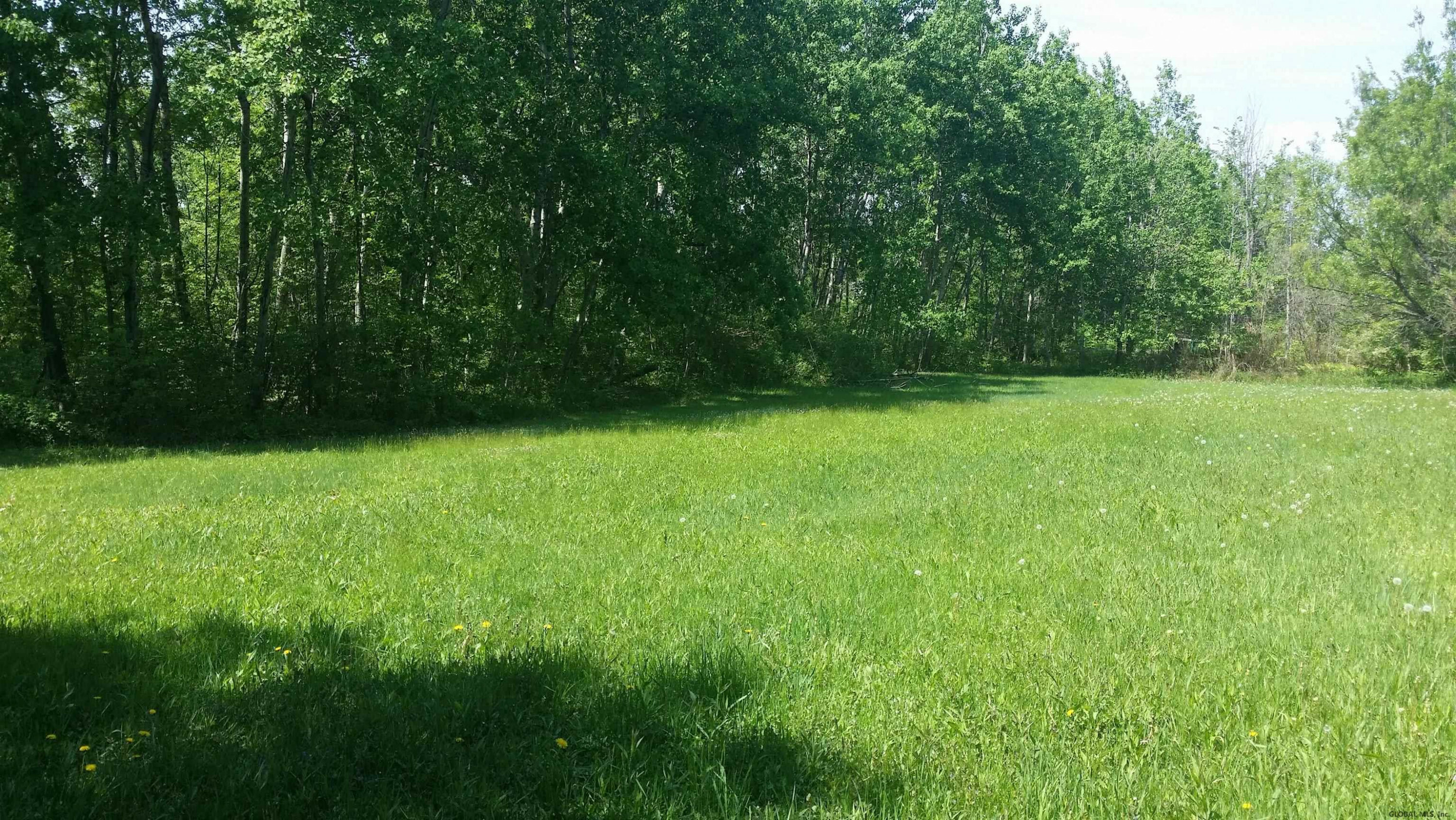 Property Photo:  0 Salsburg Road  NY 12053 