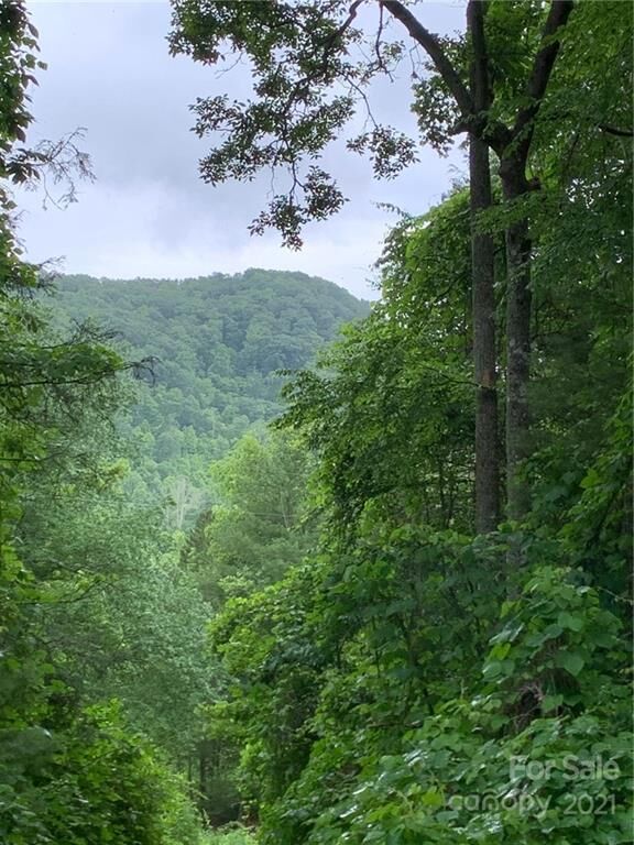 Property Photo:  Tbd Bear Cove Road  NC 28732 