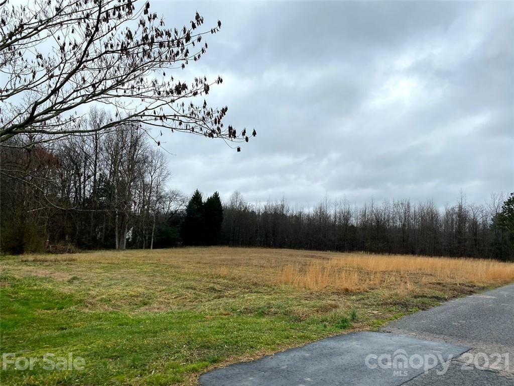 Property Photo:  430 Steeple Chase Trail  NC 28144 