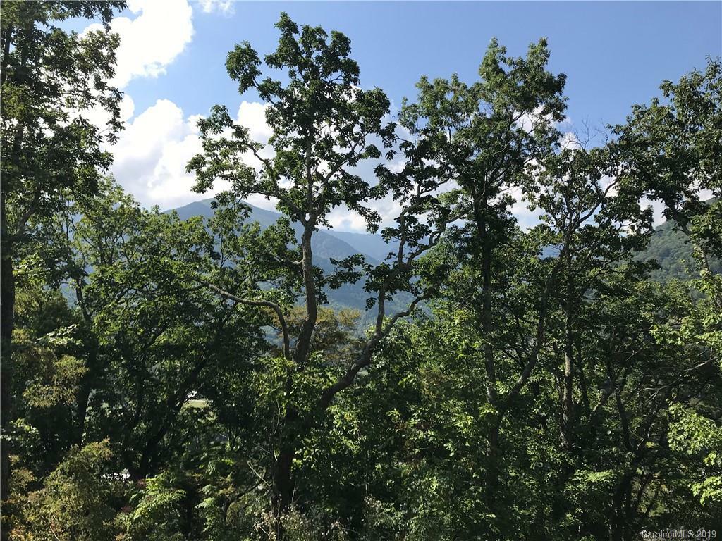 Lot 16 Cougar Lane 16  Maggie Valley NC 28751 photo