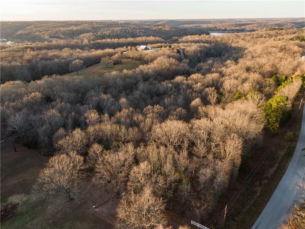 Blueberry Lane  Lowell AR 72745 photo