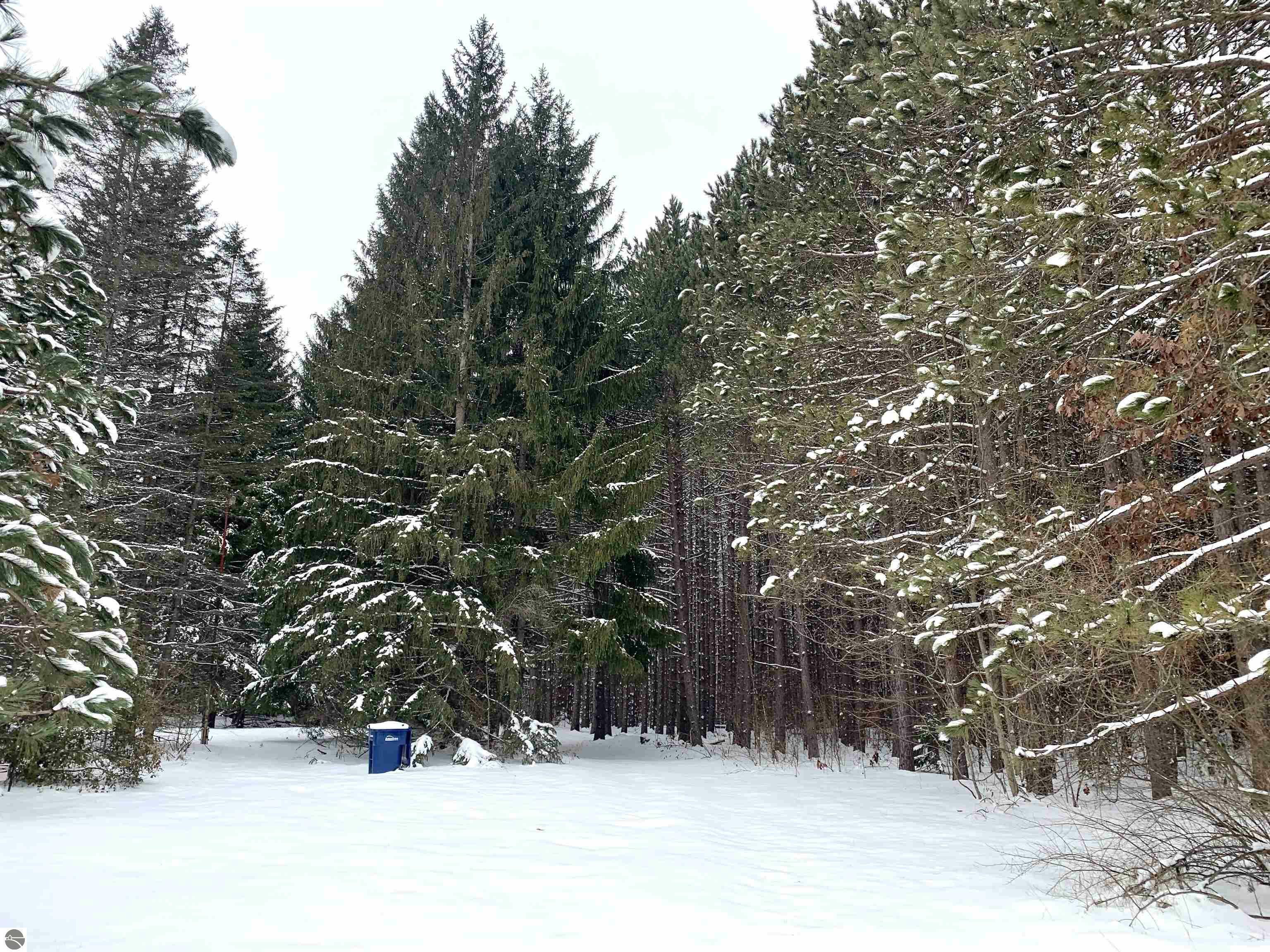 Property Photo: 7720 US-131 MI 49680