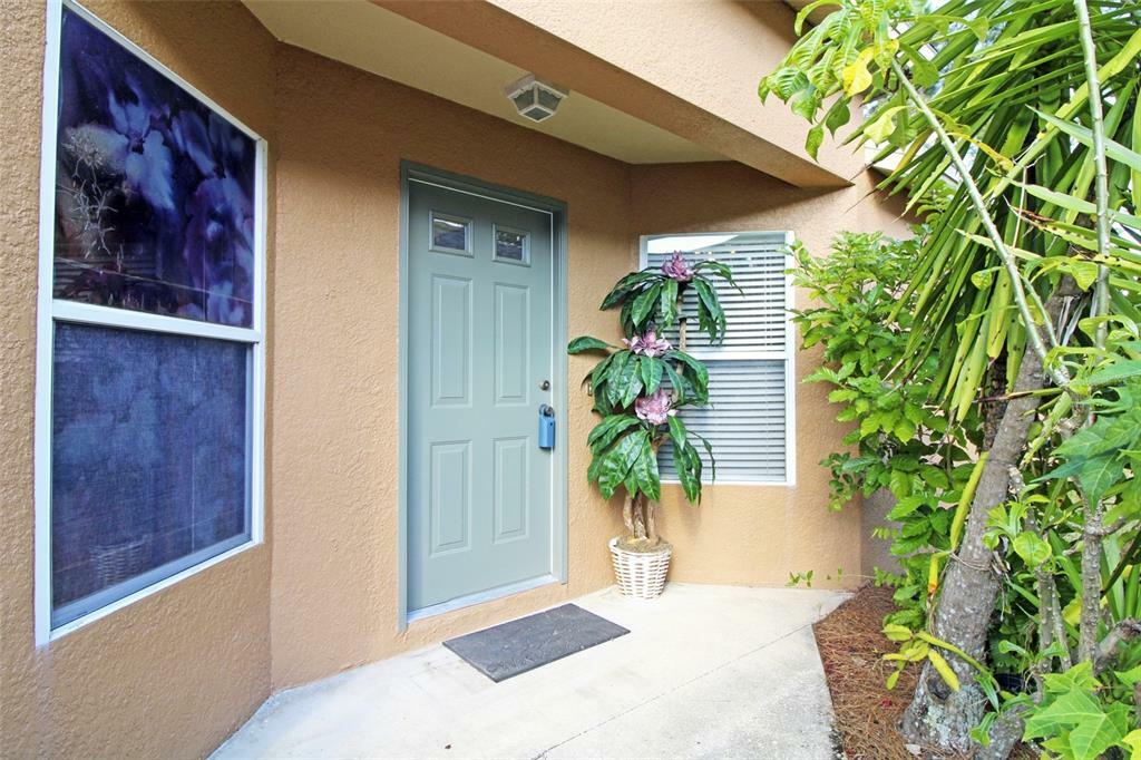 Property Photo:  5206 Gato Del Sol Circle  FL 33544 