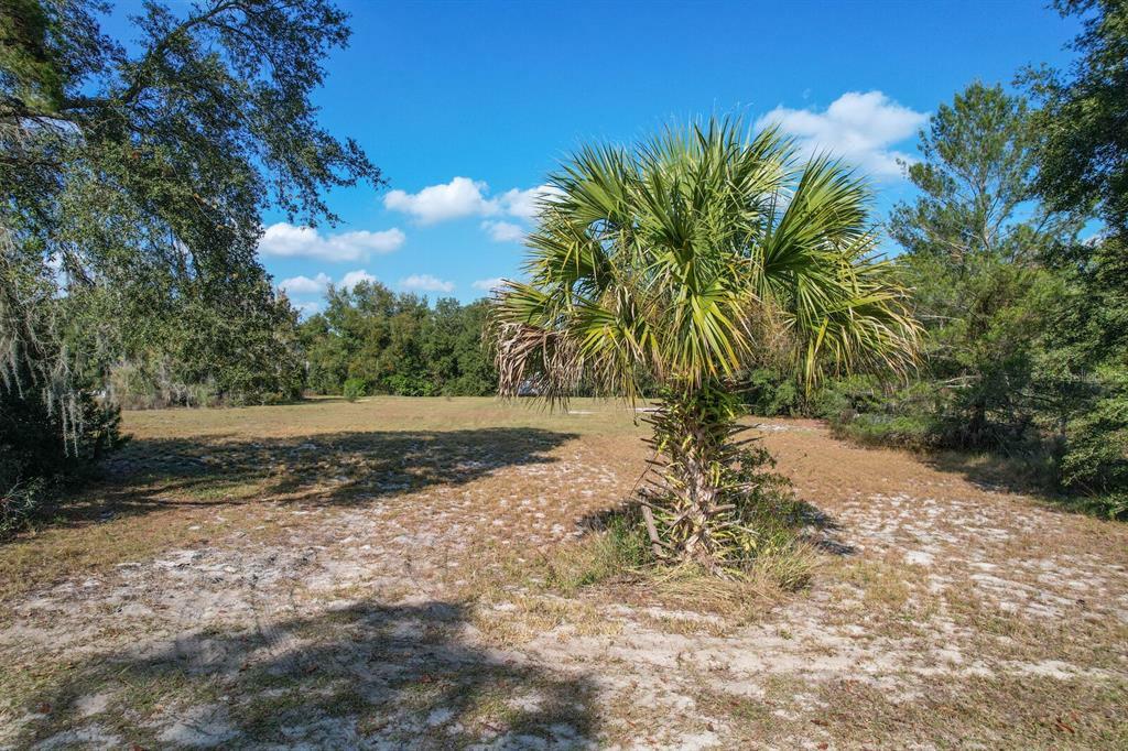 Property Photo:  23321 Oak Ln  FL 32776 