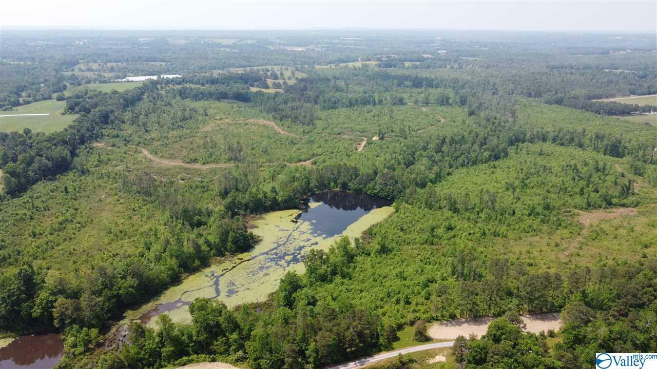 Property Photo: 00 County Road 155 AL 35966