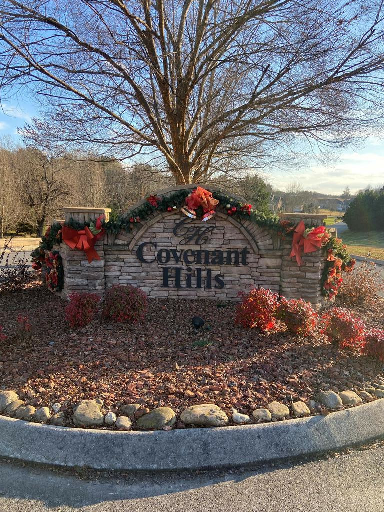 Property Photo:  Lot 30 Covenant Cove  TN 32323 