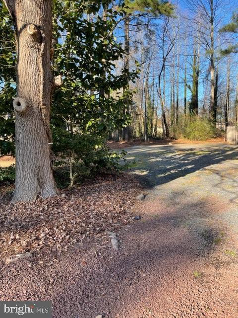 725 S Camden Avenue  Fruitland MD 21826 photo