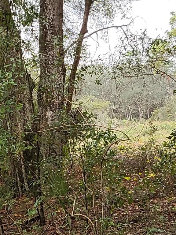 Property Photo: Sunrise Boulevard FL 32757