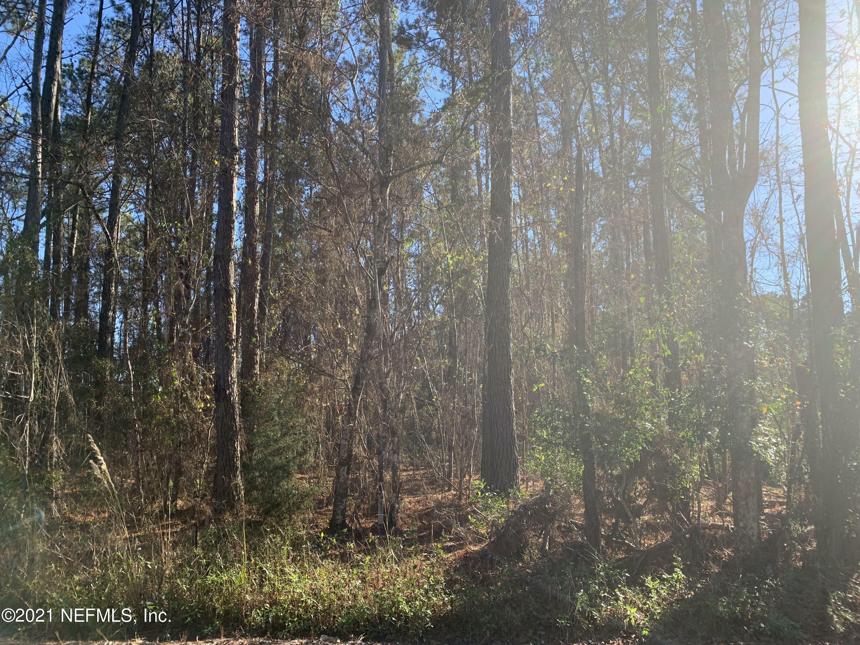 Property Photo:  Tract 1 Tracy Road  FL 32046 