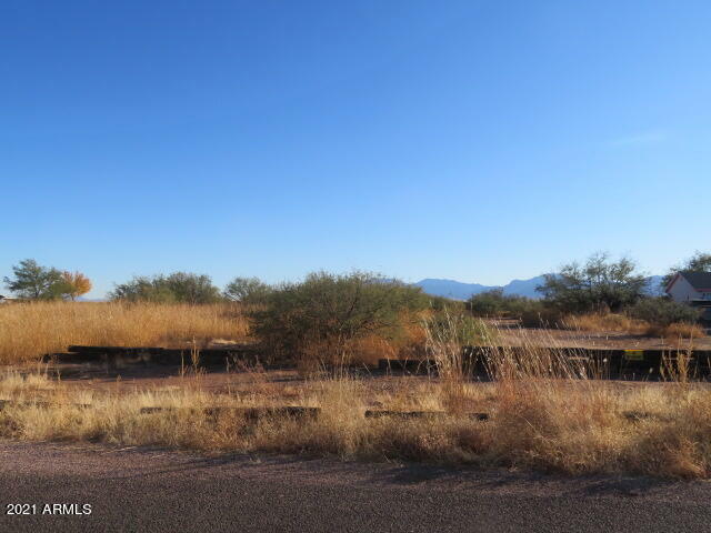 Property Photo:  Tbd Birch Street  AZ 85616 