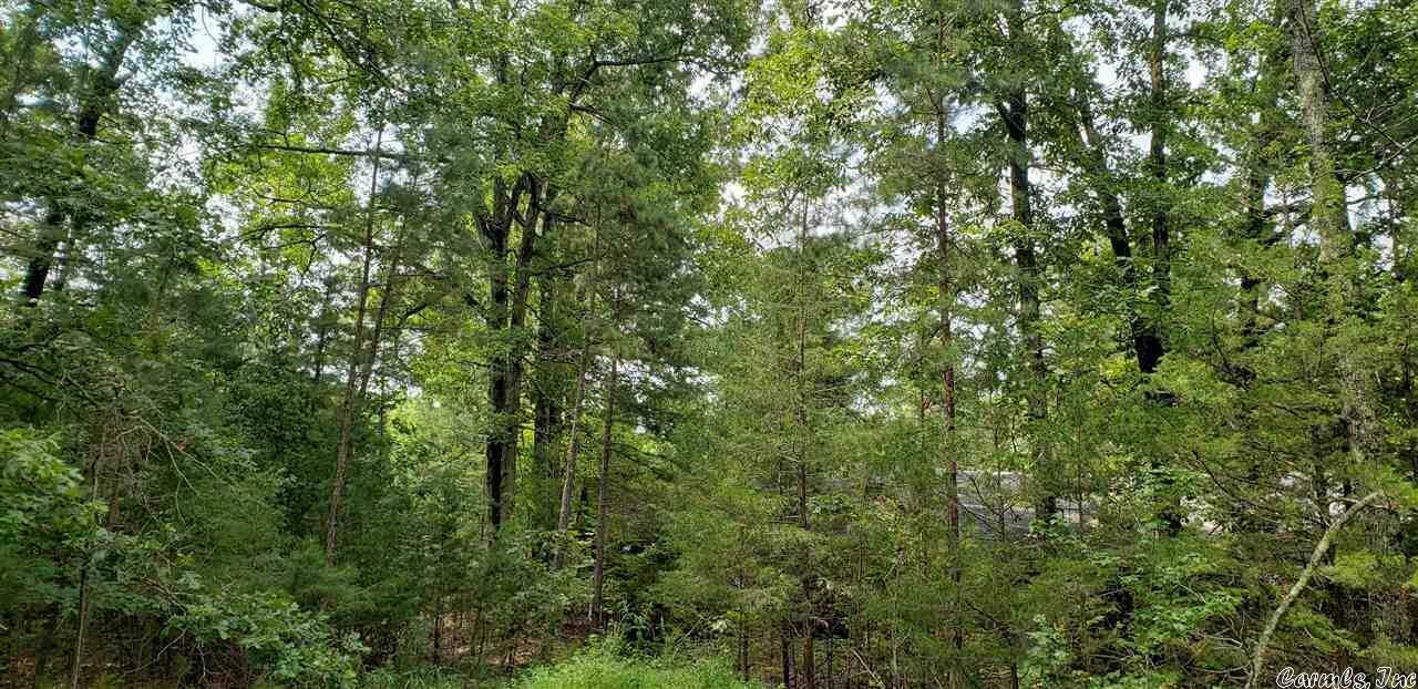 Property Photo:  575 Ryan Road  AR 71960 