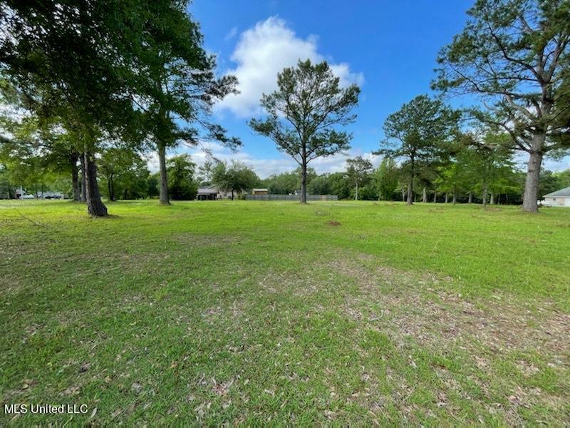 Hillcrest Ridge Drive  Vancleave MS 39565 photo