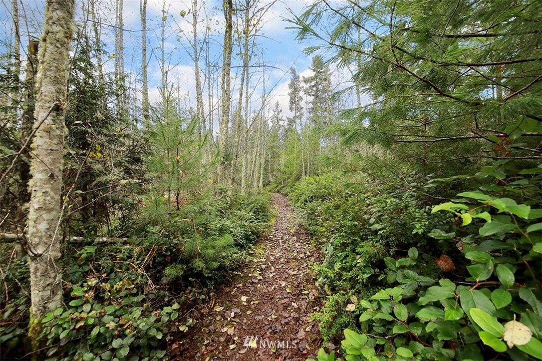 Property Photo:  0 Xxx Reilly Lane  WA 98260 